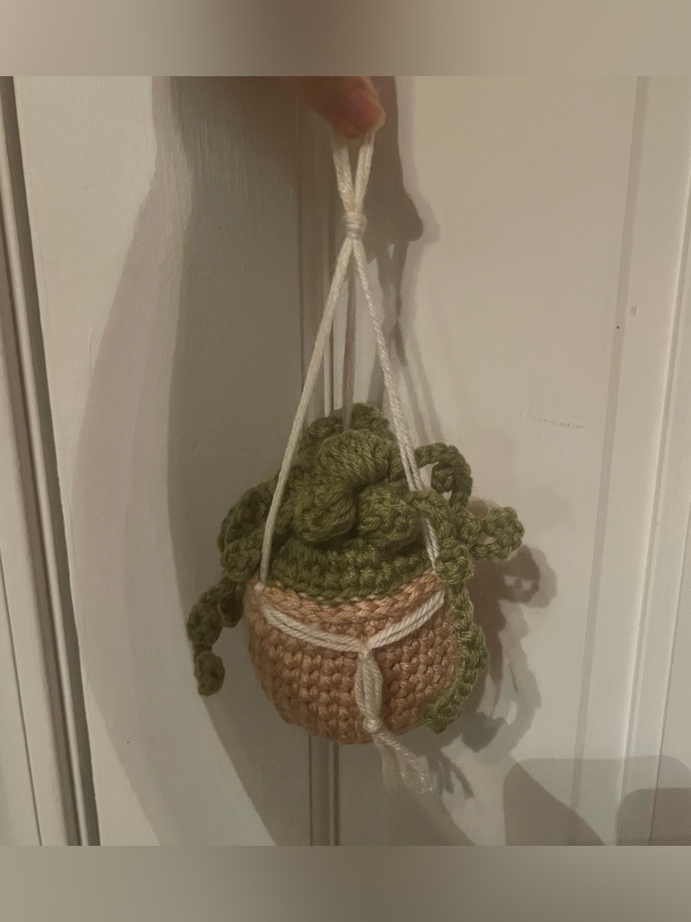 Small Crocheted Hanging Plant